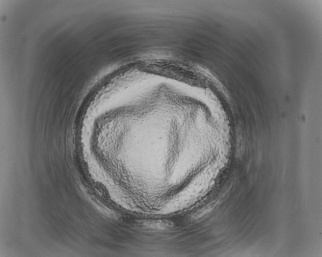 X0000080730439200701051103