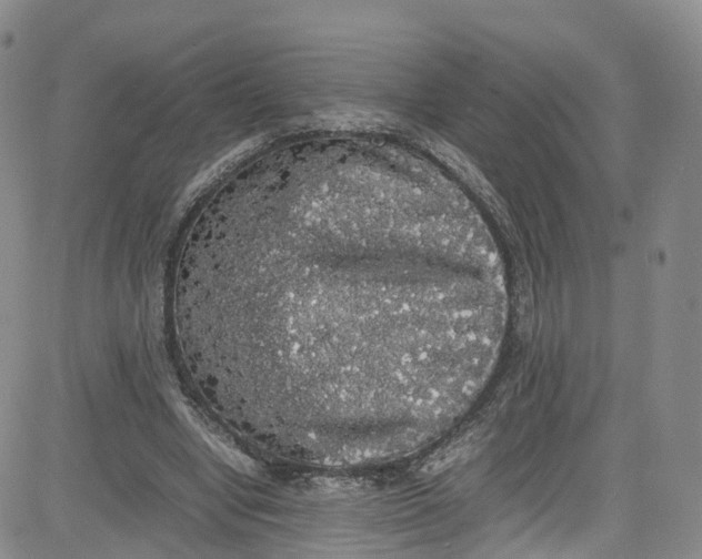 X0000080730442200701051103