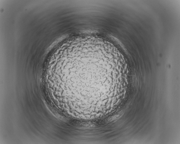 X0000080730443200701051103