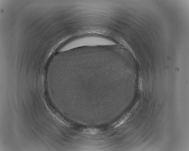 X0000080730444200701051103