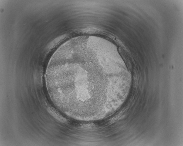 X0000080730446200701051103