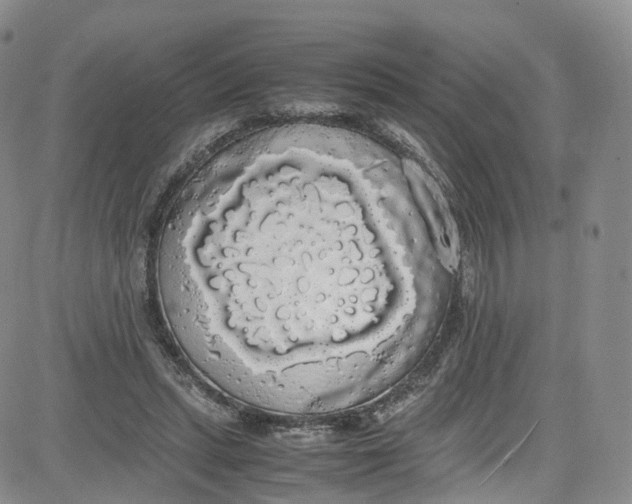 X0000080730447200701051103