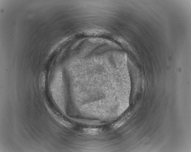 X0000080730448200701051103