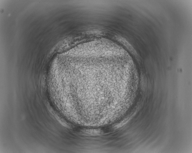 X0000080730449200701051103