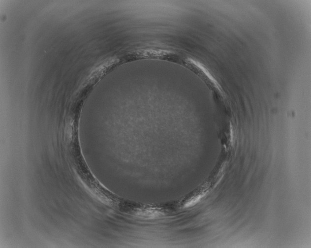 X0000080730451200701051103