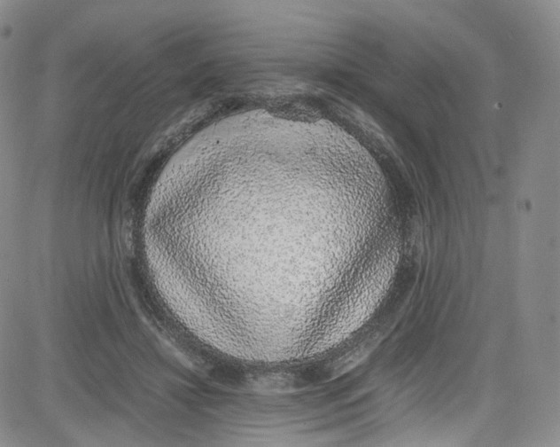 X0000080730452200701051103