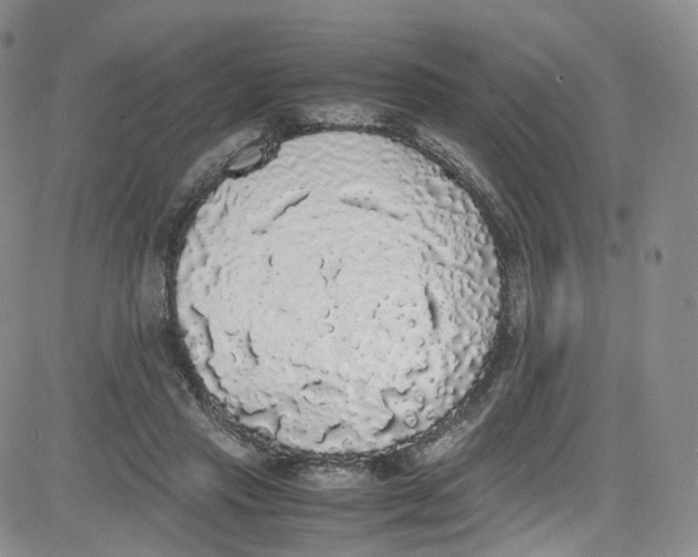 X0000080730453200701051103