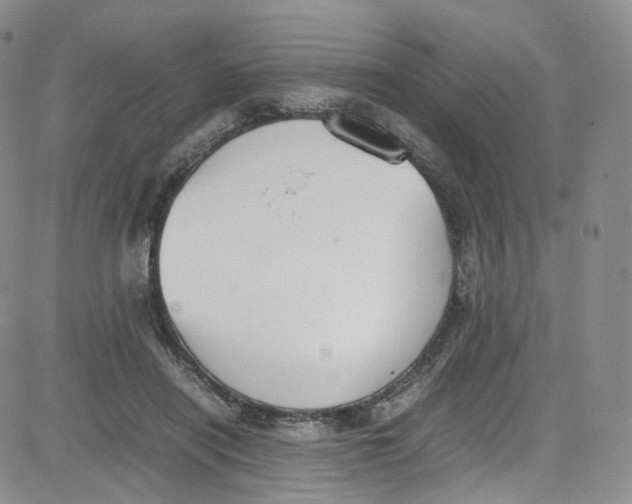 X0000080730454200701051103