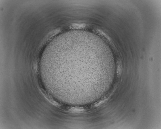 X0000080730455200701051103