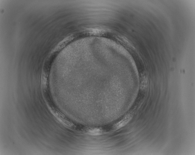 X0000080730456200701051103