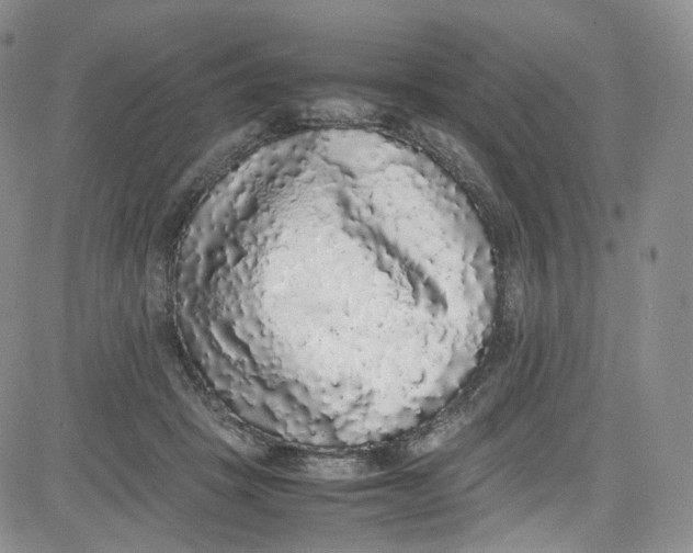 X0000080730457200701051103