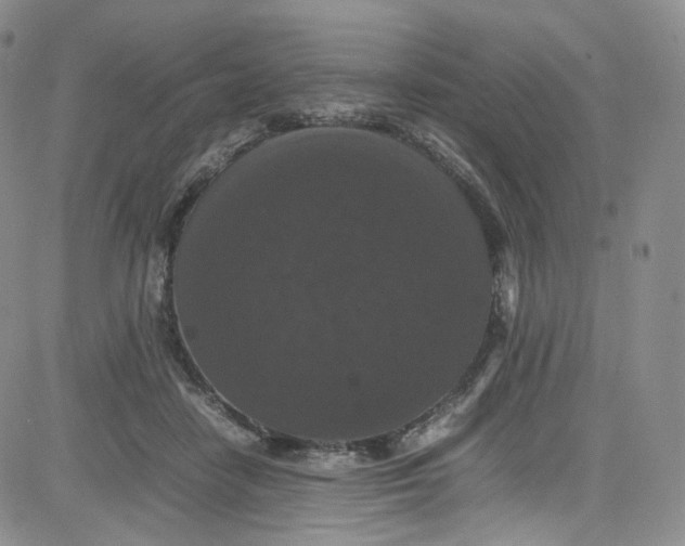 X0000080730458200701051103