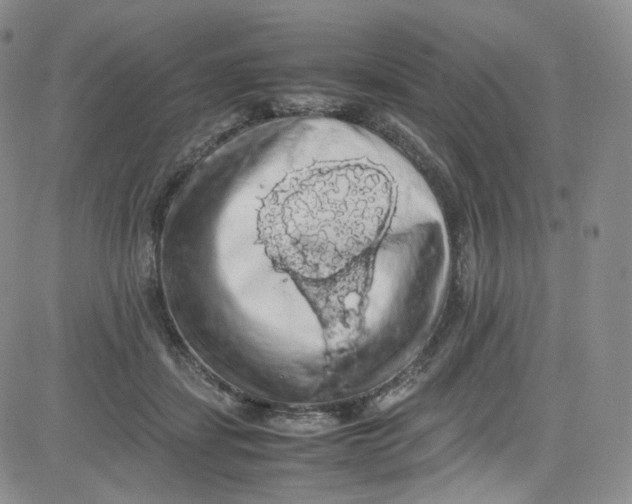 X0000080730459200701051103