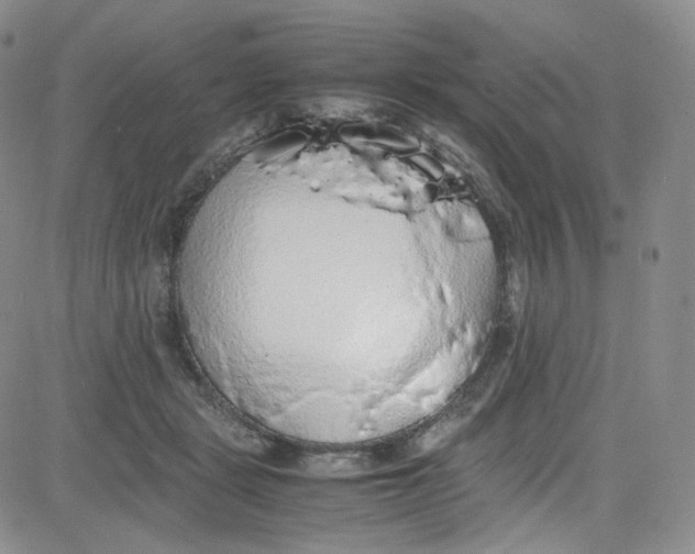 X0000080730461200701051103