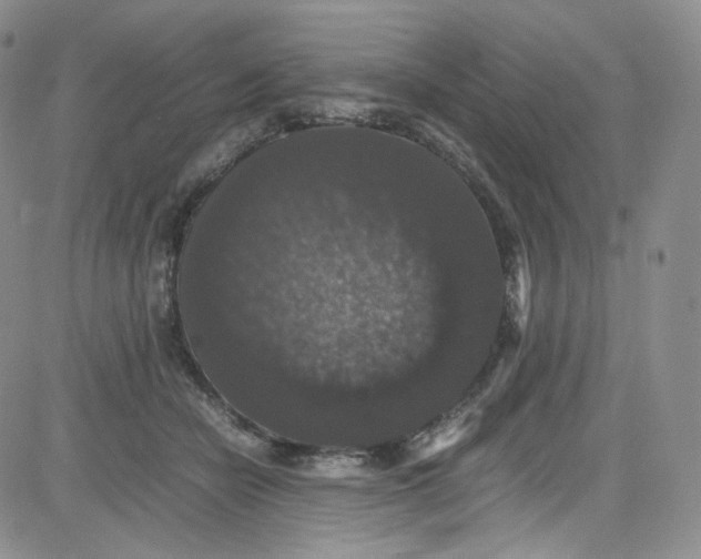 X0000080730462200701051103