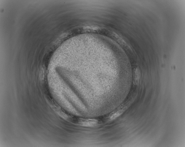 X0000080730463200701051103