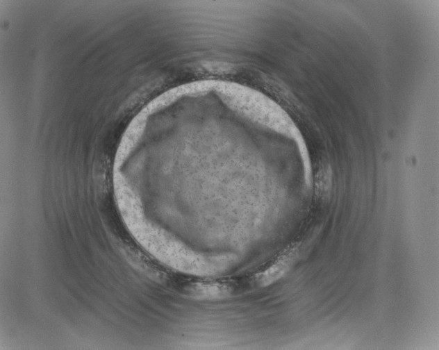 X0000080730464200701051103