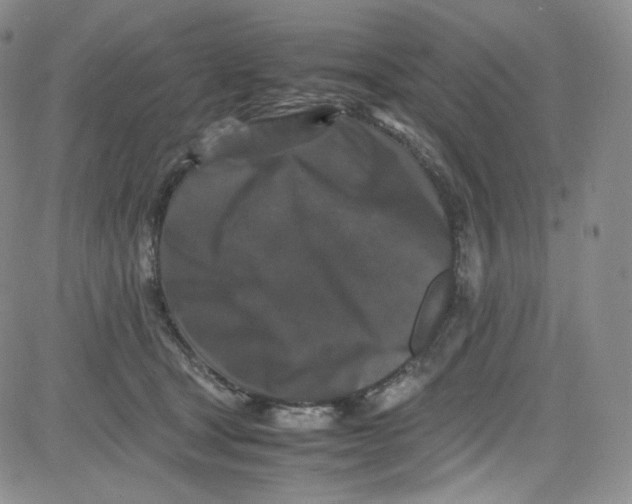 X0000080730465200701051103