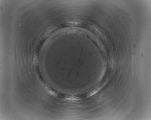 X0000080730467200701051103