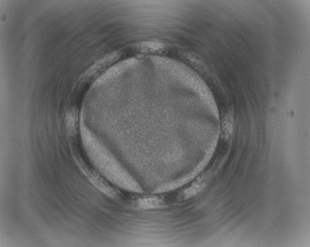 X0000080730468200701051103