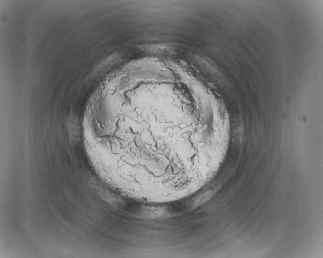 X0000080730469200701051103