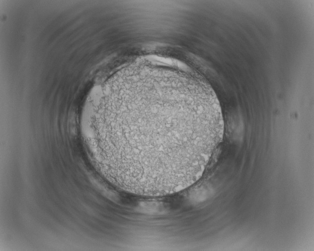 X0000080730470200701051103