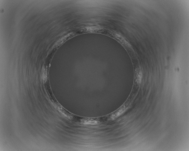 X0000080730471200701051103