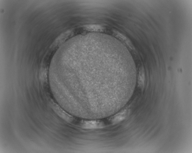 X0000080730473200701051103