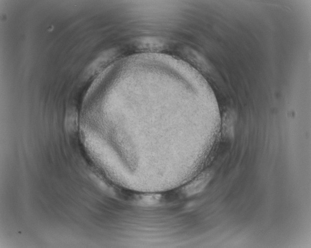 X0000080730474200701051103