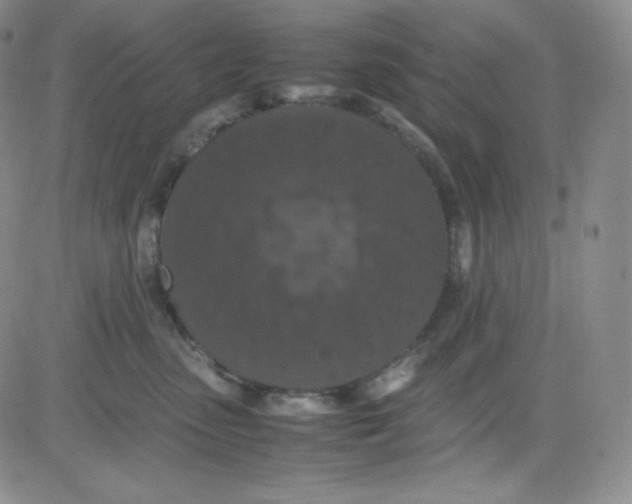 X0000080730475200701051103