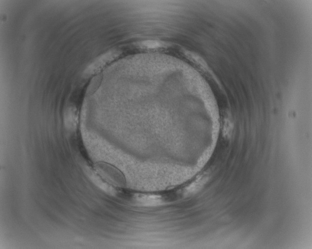 X0000080730476200701051103