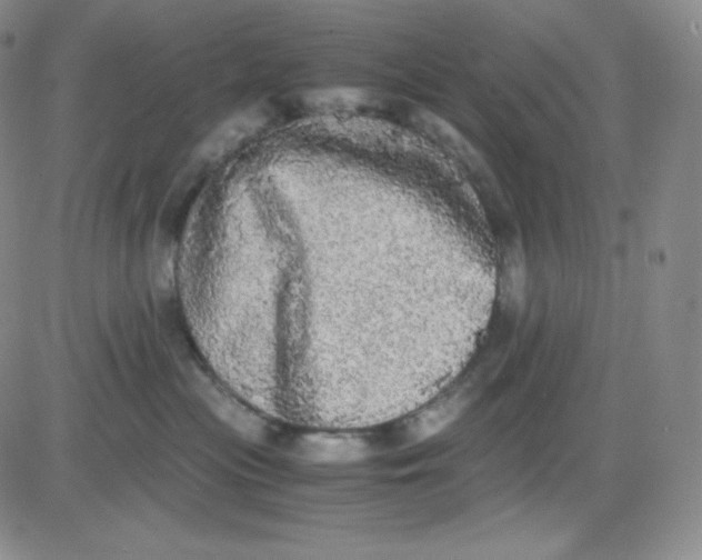 X0000080730477200701051103