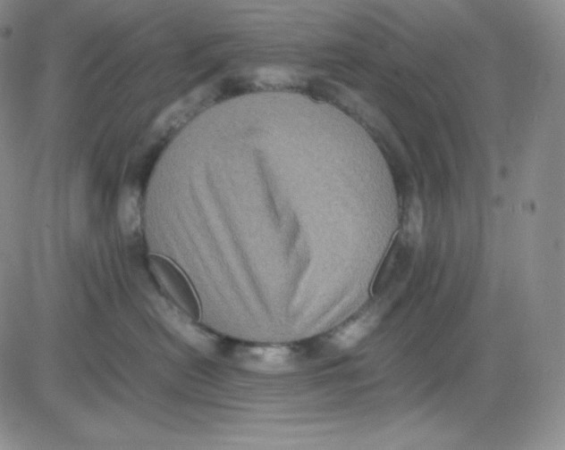 X0000080730478200701051103