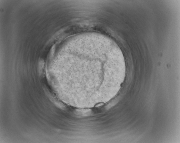 X0000080730480200701051103