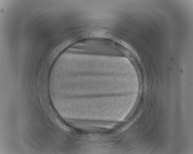 X0000080730481200701051103