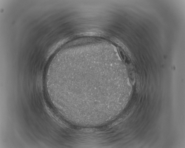 X0000080730482200701051103