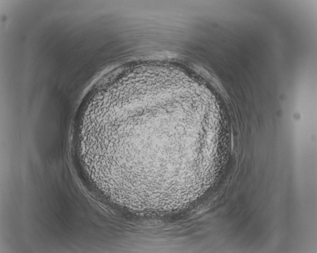 X0000080730483200701051103