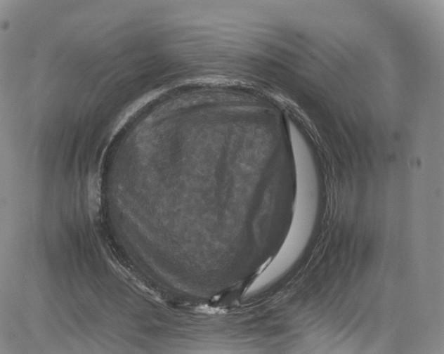 X0000080730484200701051103