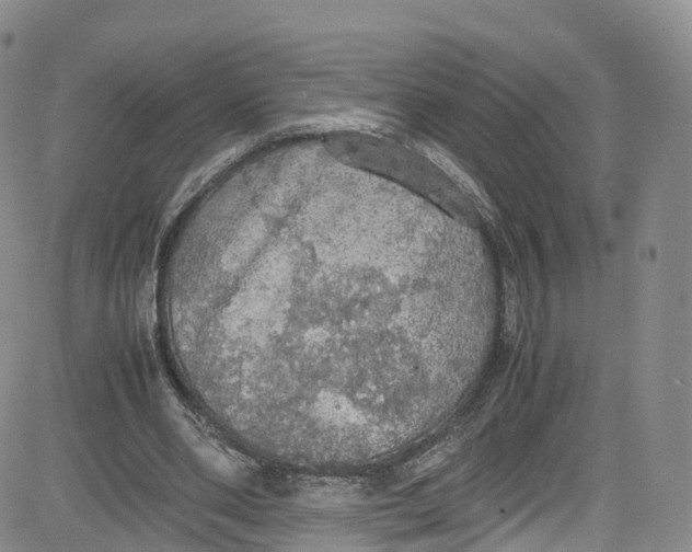 X0000080730486200701051103