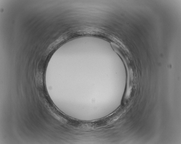 X0000080730489200701051103