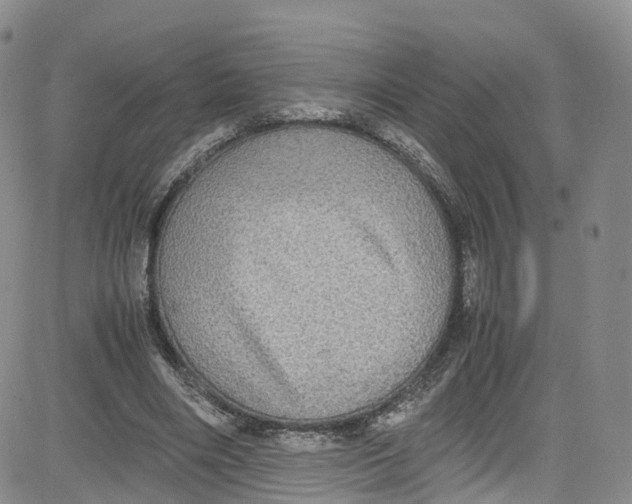 X0000080730490200701051103