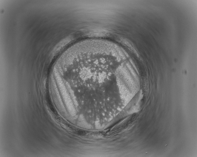 X0000080730491200701051103