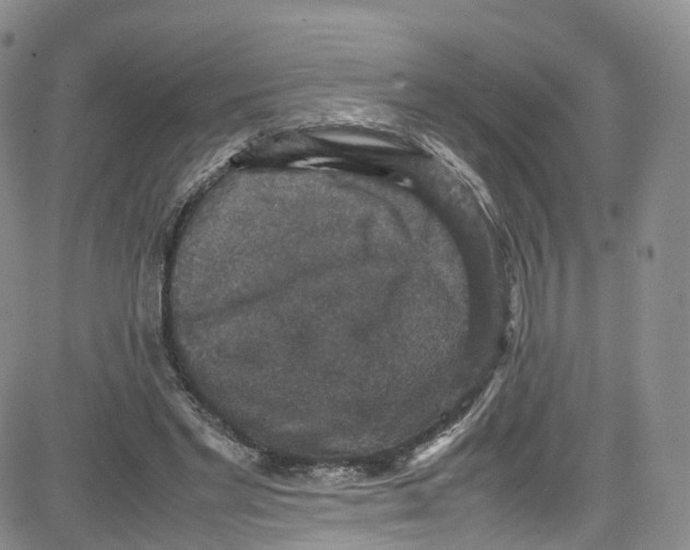 X0000080730493200701051103