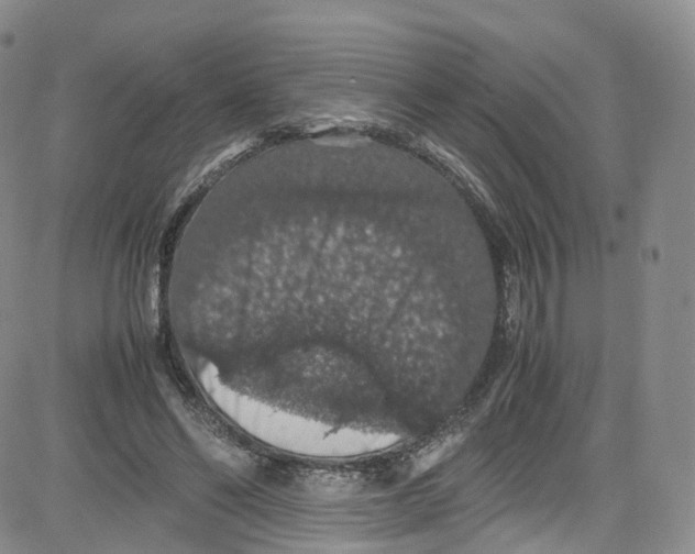 X0000080730494200701051103