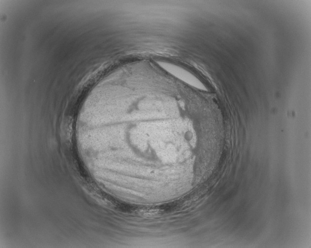 X0000080730495200701051102