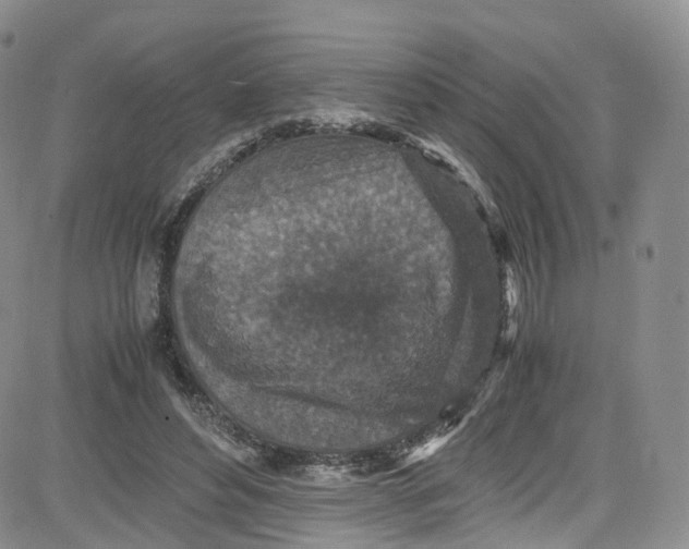 X0000080730496200701051102