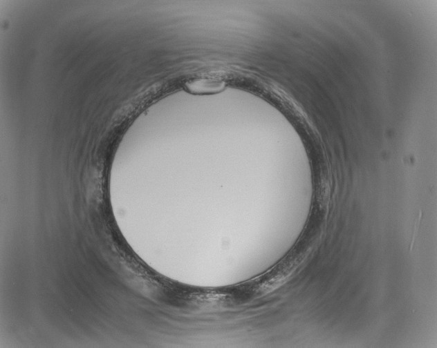 X0000080730497200701051102