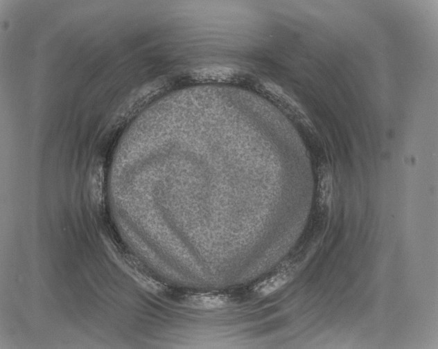 X0000080730498200701051102