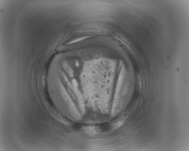 X0000080730499200701051102