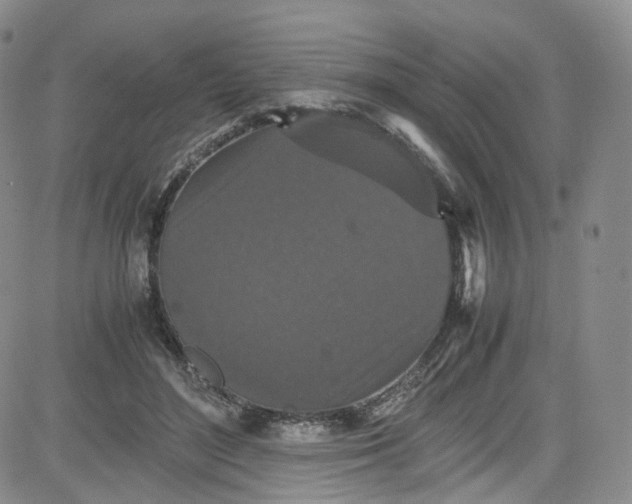 X0000080730500200701051102